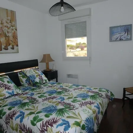 Sanguinaires T2 150métres De La Appartement